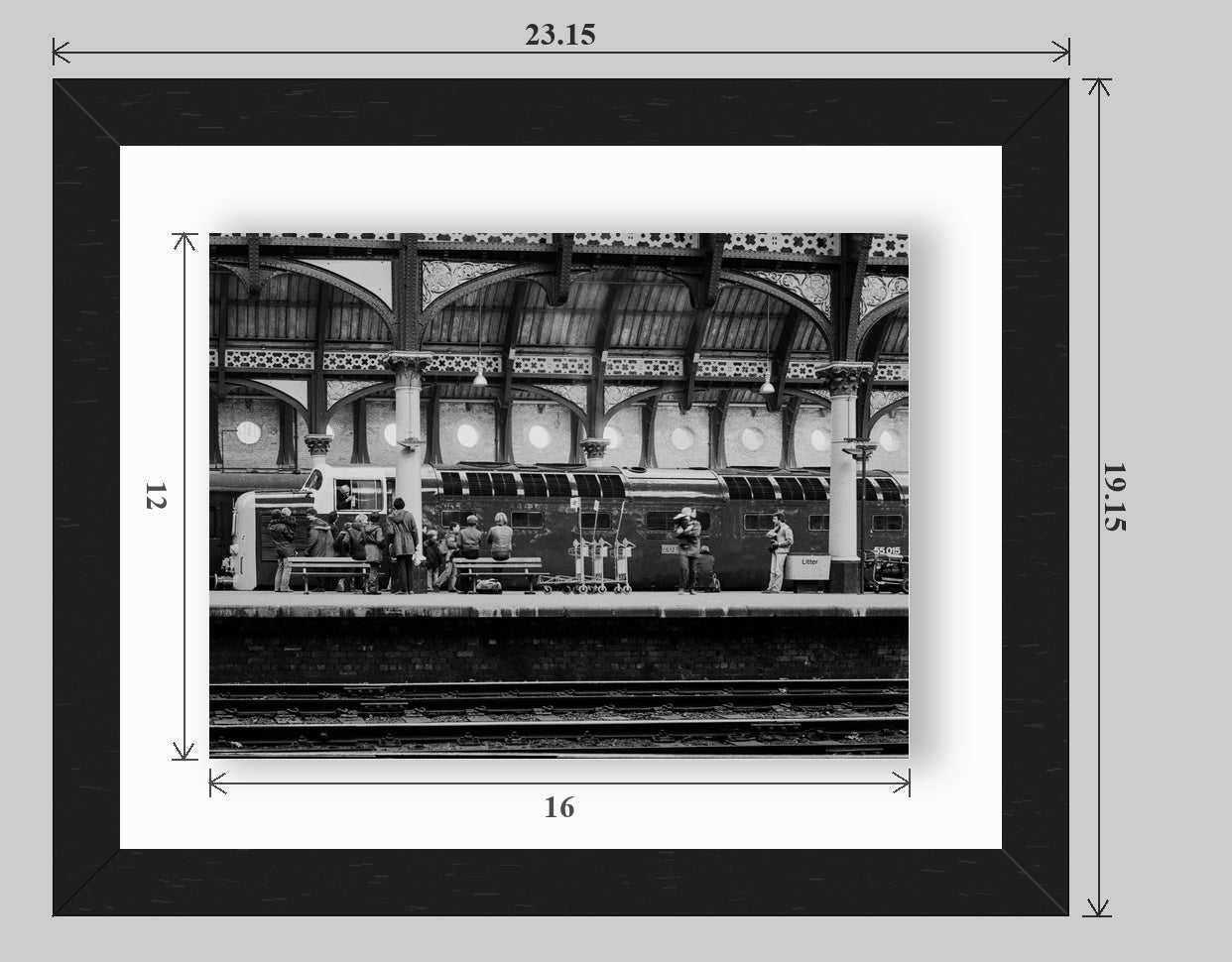 Tulyar at York railway photograph - 20x16 float-frame preview