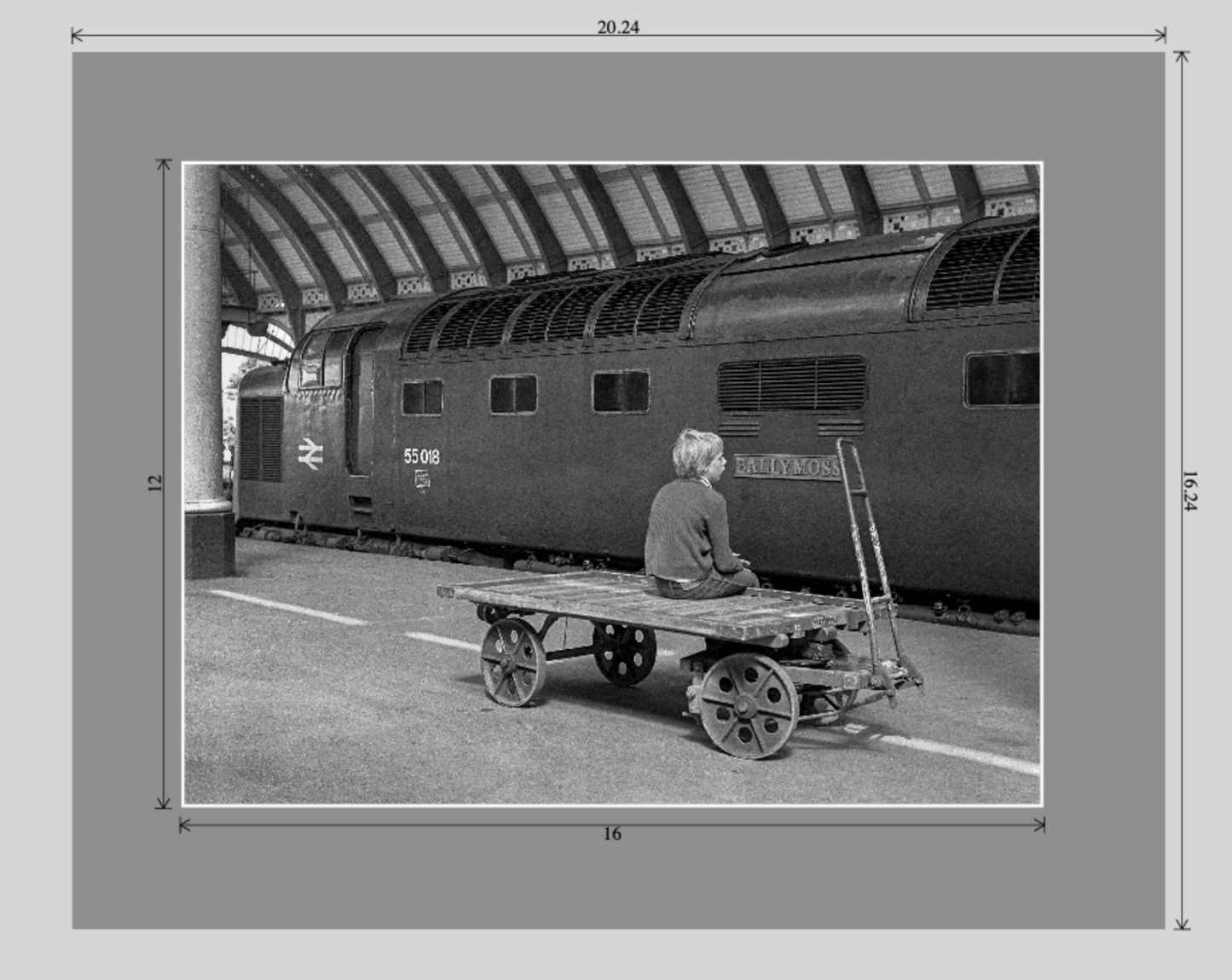 'Ballymoss' at York - Matted Print
