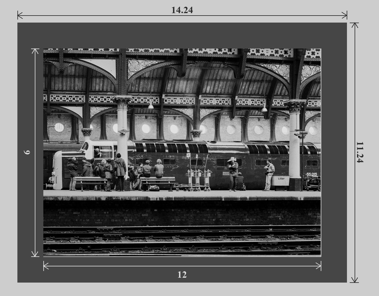 Tulyar at York railway photograph - 14x11 matted preview