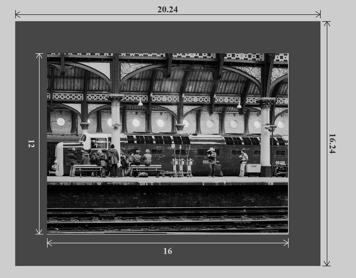 Tulyar at York railway photograph - 20x16 matted preview