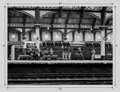 Tulyar at York railway photograph - 12x9 print image