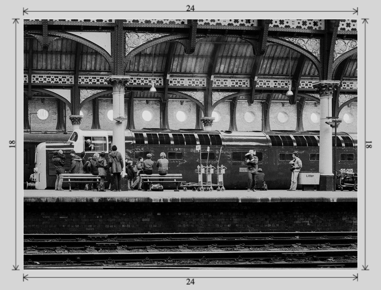 Tulyar at York railway photograph - 24x18 print image