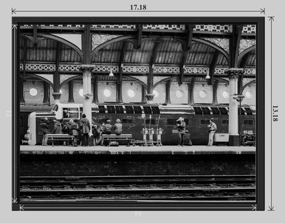 Tulyar at York railway photograph - 16x12 tray-frame preview