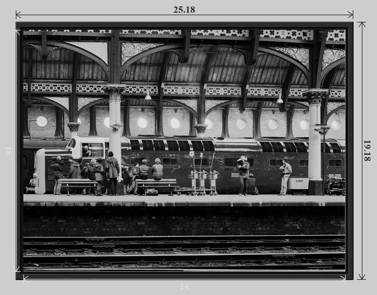 Tulyar at York railway photograph - 24x18 tray-frame preview