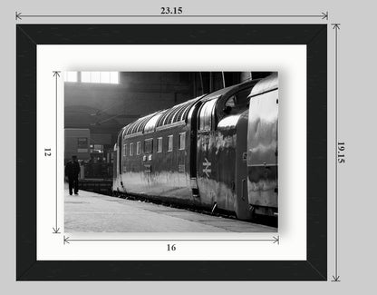 Class 55 Deltic 55009 'Alycidon' at King's Cross - 20x16 float-frame preview