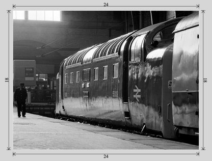 Class 55 Deltic 55009 'Alycidon' at King's Cross - 24x18 print image
