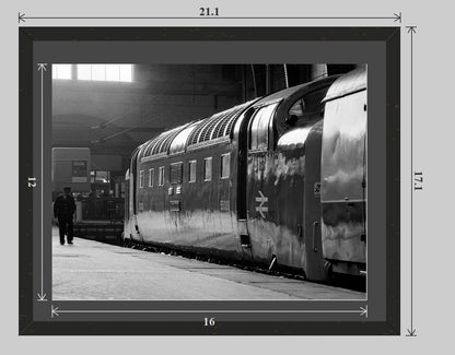 Class 55 Deltic 55009 'Alycidon' at King's Cross - 20x16 framed preview