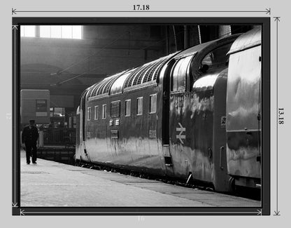 Class 55 Deltic 55009 'Alycidon' at King's Cross - 16x12 tray-frame preview