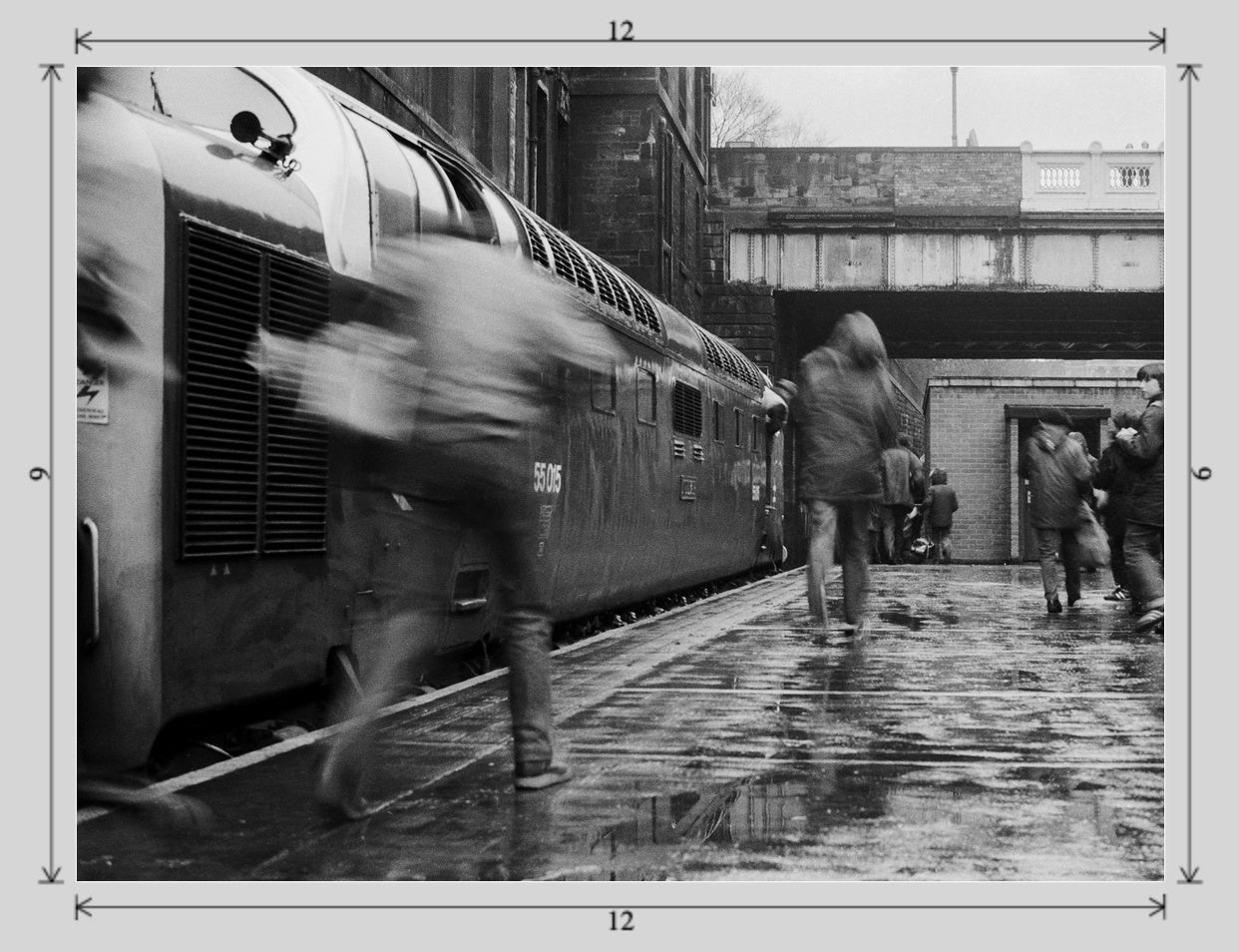 Delt - 12x9 print image