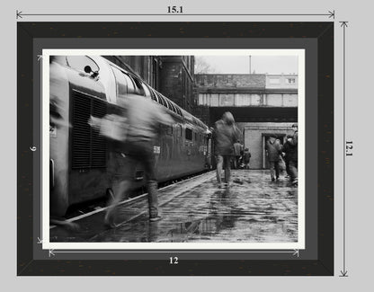 Delt - 14x11 framed preview