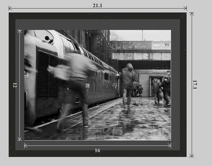 Delt - 20x16 framed preview
