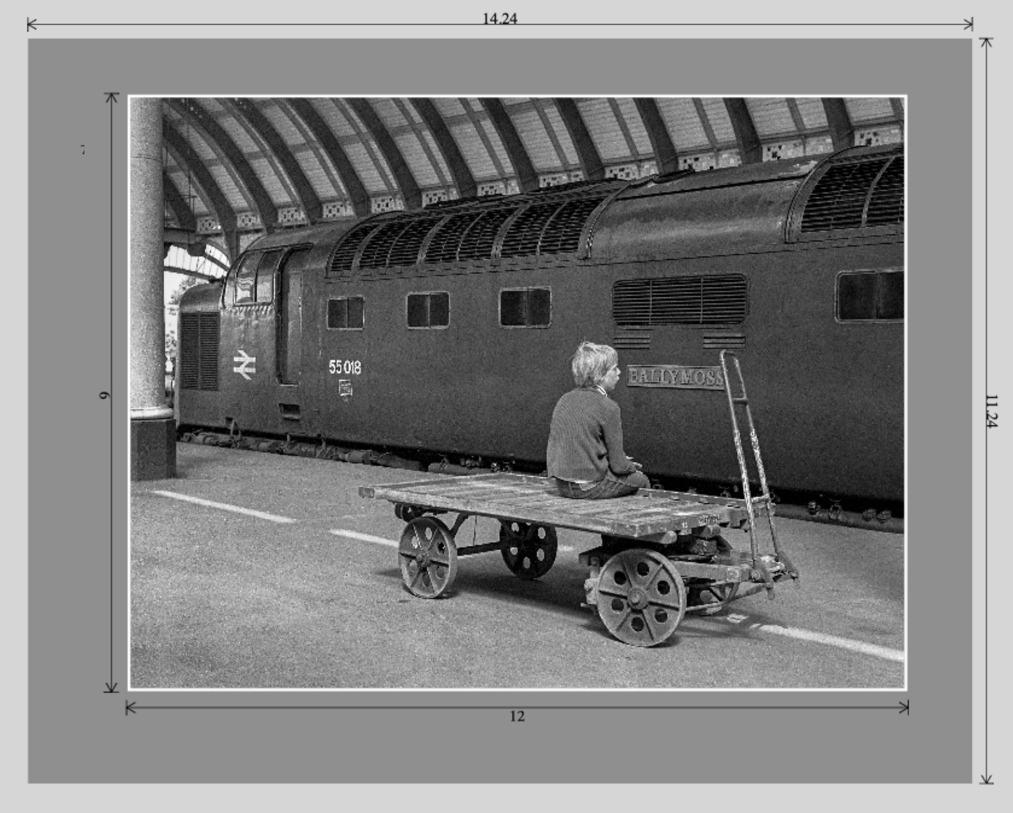 'Ballymoss' at York - Matted Print