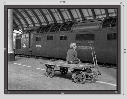 Ballymoss at York railway photograph - 16x12 tray-frame preview
