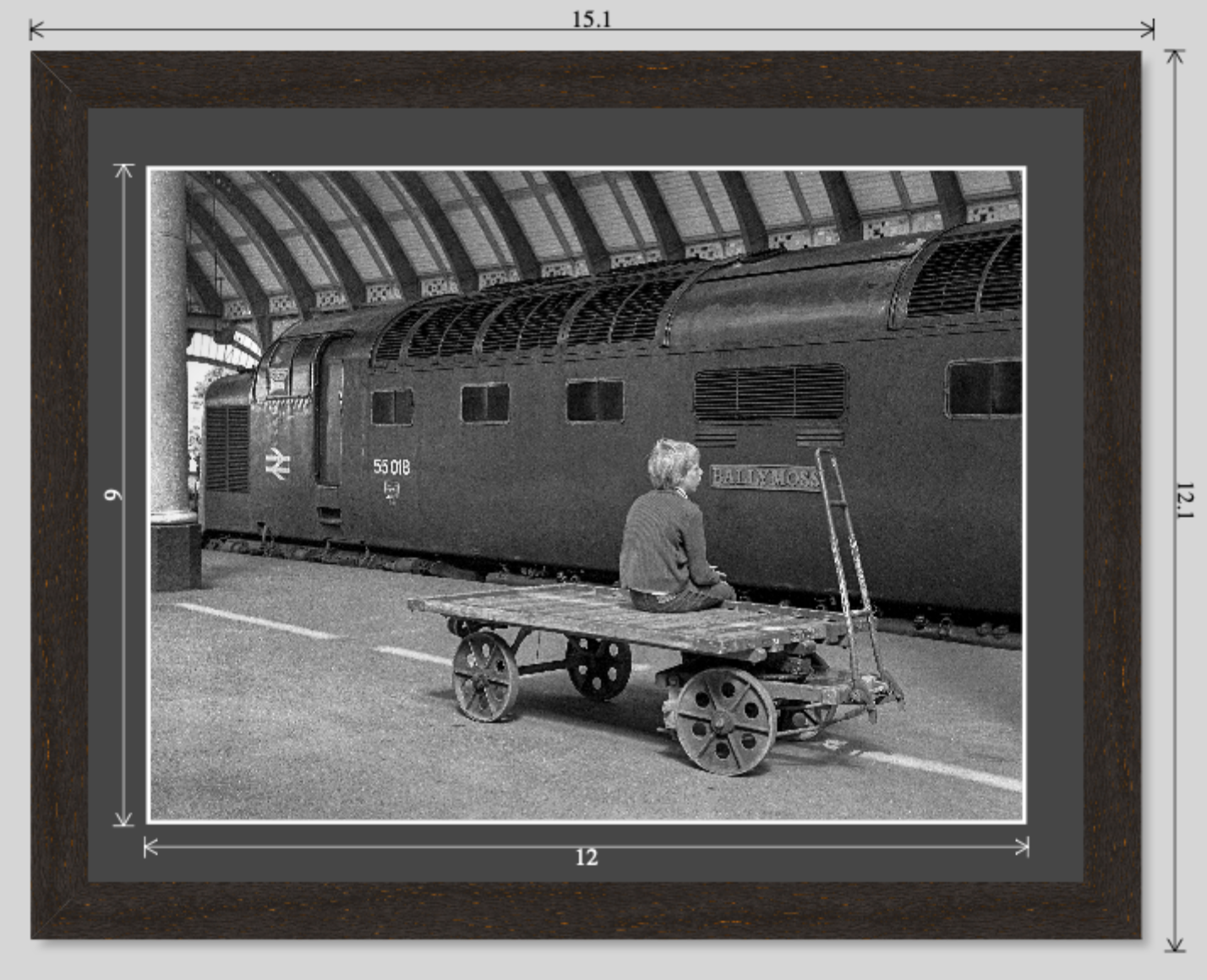 'Ballymoss' at York - Sanctuary Framed Print