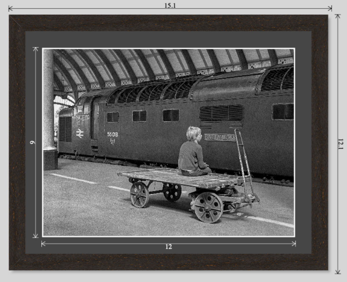 Ballymoss at York railway photograph - 14x11 framed preview