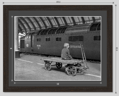 Ballymoss at York railway photograph - 14x11 framed preview