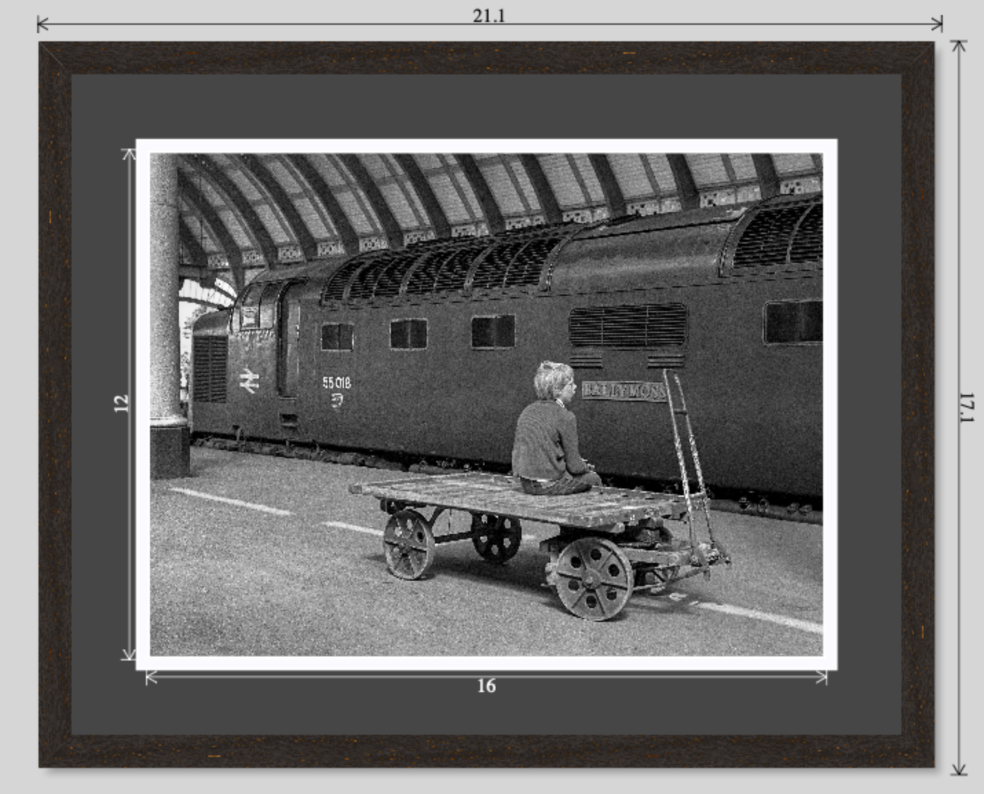 Ballymoss at York railway photograph - 20x16 framed preview