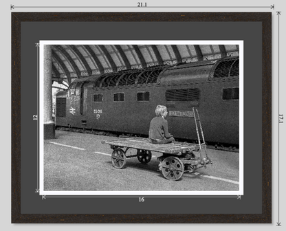 Ballymoss at York railway photograph - 20x16 framed preview