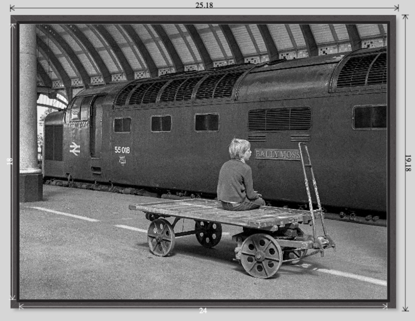 Ballymoss at York railway photograph - 24x18 tray-frame preview