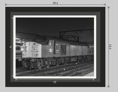 Night Whistler - Sanctuary Framed Print - 14x11 framed preview