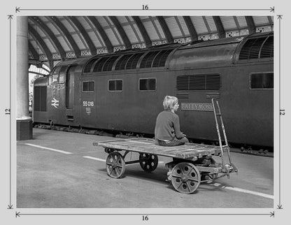 Ballymoss at York railway photograph - 16x12 print image